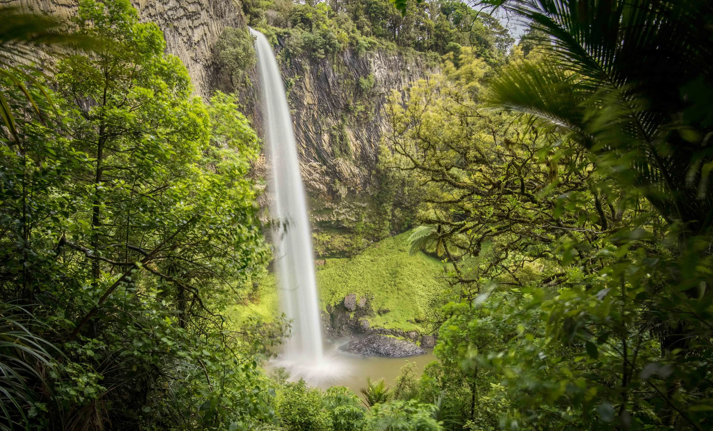 DSC_8521-HDR.jpg
