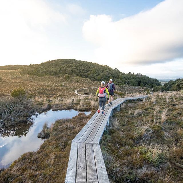 Early morning on the Ruapehu Round the Mountain Track
.
.
.
.
.
#nz #newzealand #purenz #trailrun #run #trailrunning #running #runner #trailrunner #runners #instarun #trail #instarunner #instarunners #ultrarunning #ultrarun #taupo #runtoinspire #trai
