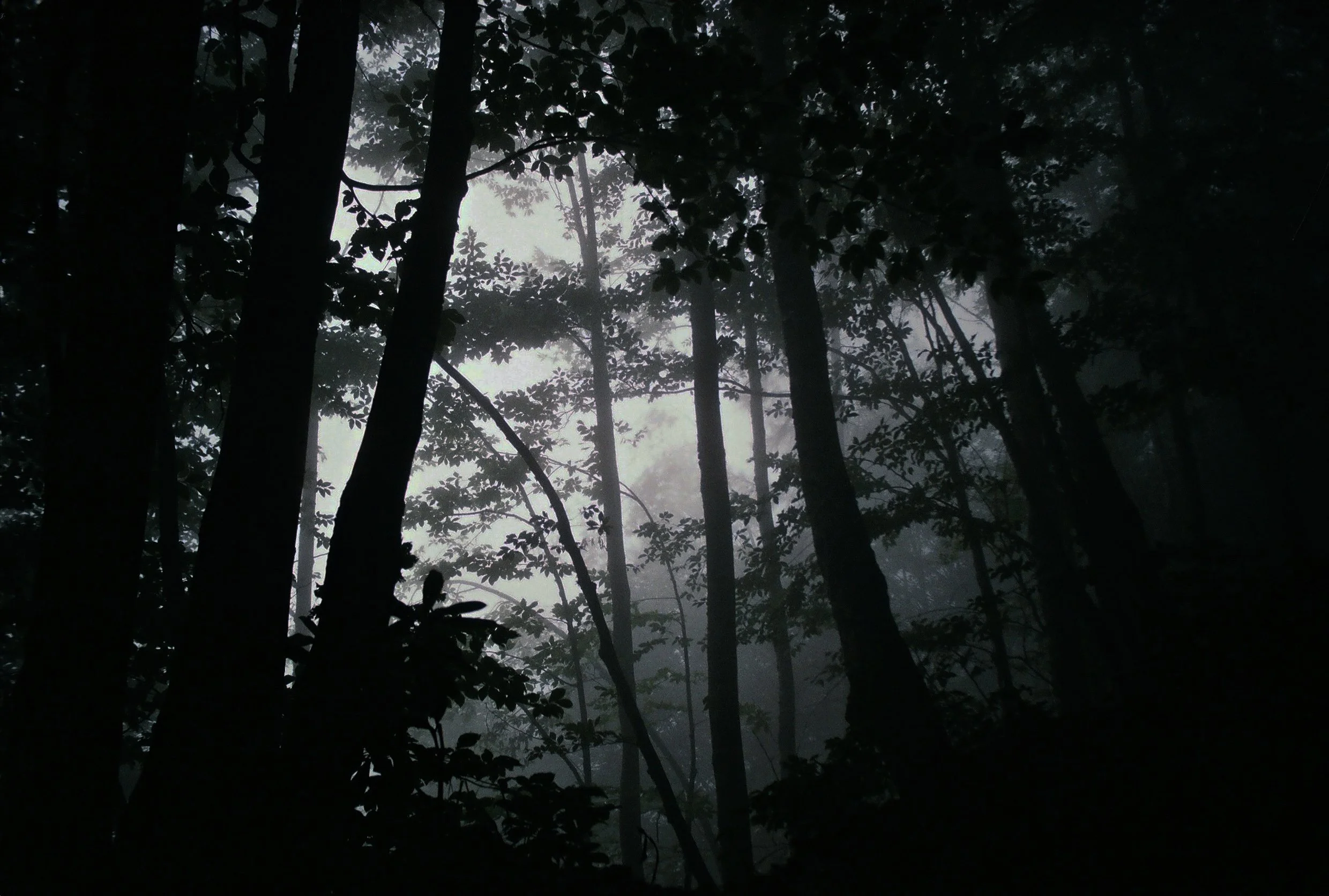 Samegrelo - Fuji - 001.jpg