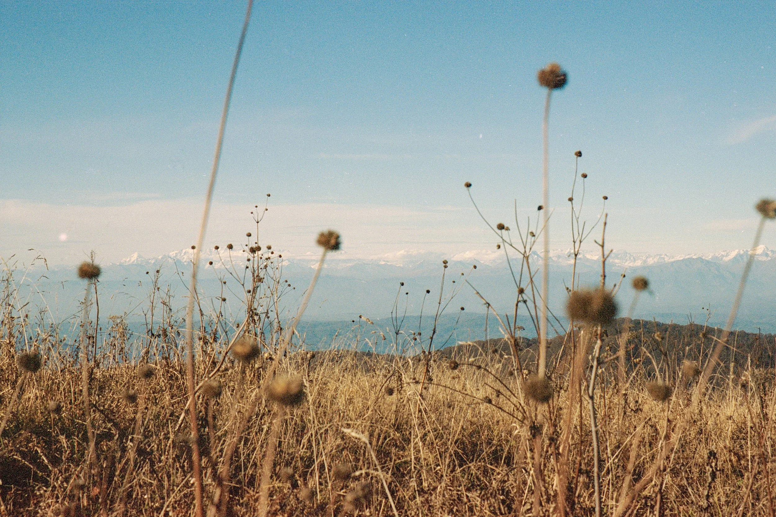 Borjomi - Kodak Portra 400_05.jpg