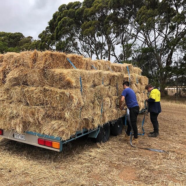 140 Bails off to drought and fire relief.  Hats off to all the volunteers moving these donations to where they need to go.  Aussie, Aussie, Aussie, Oi,O&iacute;,O&iacute;.
#droughtrelief #firerelief #helpifyoucan