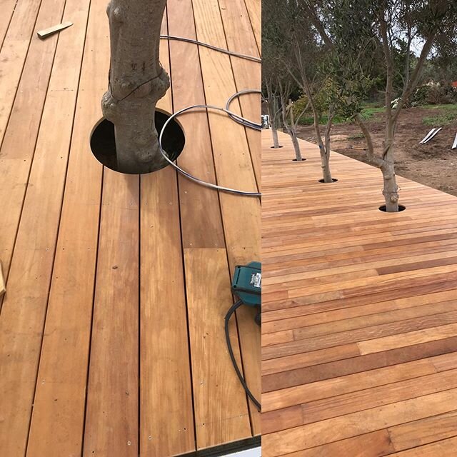 The boys are at it again, make a jig and repeat.  Love the Garapa.  #timberdecking  #ilovetimber #notaknot