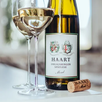 Tasting-Notes_Haart-7233.jpg