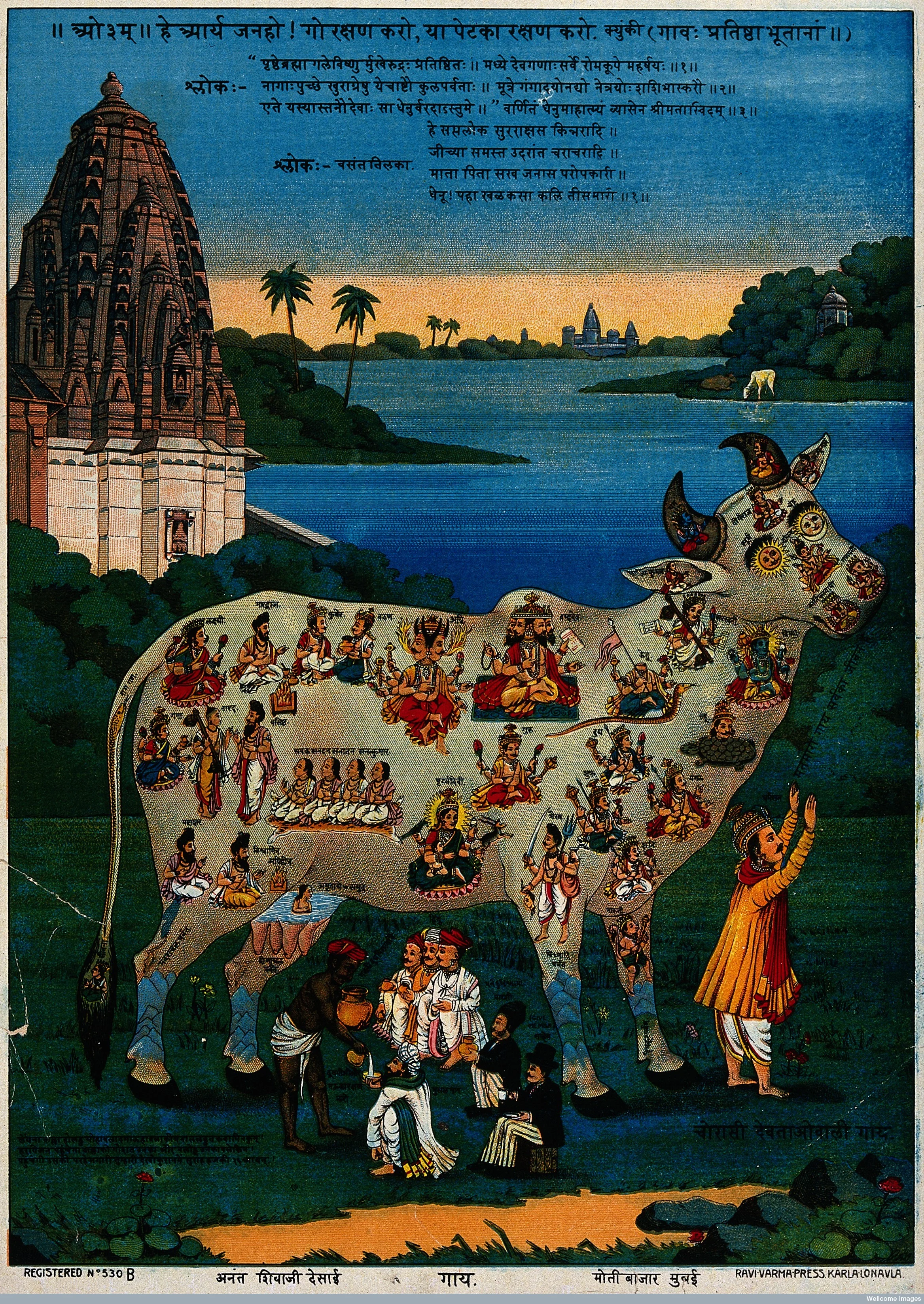The holy Cow personified as World Mother with many Sanskrit verses