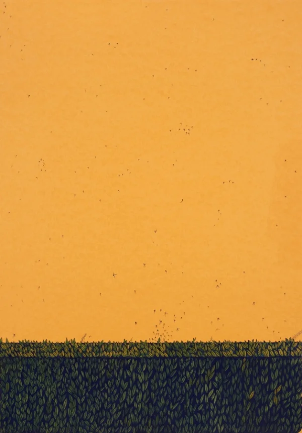 Wardha Shabbir, A Wall 2017
