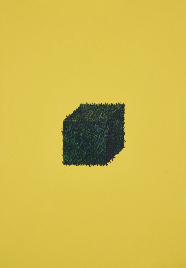 Wardha Shabbir, A Cube 2017