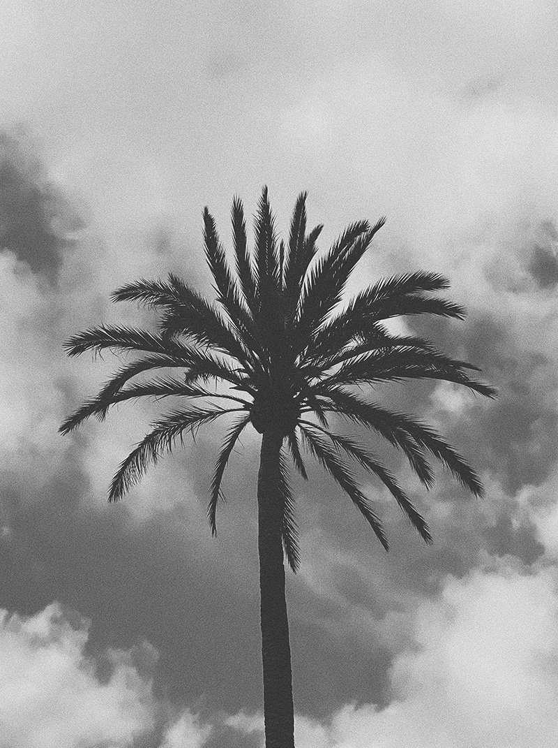 Mallorca — MODEDAMOUR