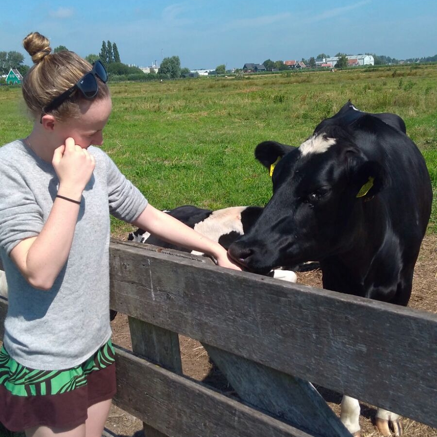 Making friends