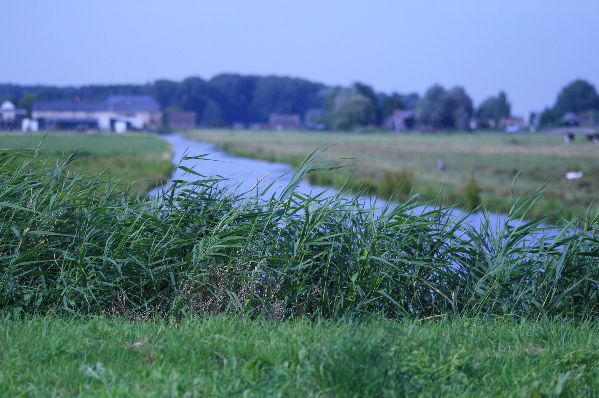 Beautiful Dutch farm land complete with canal