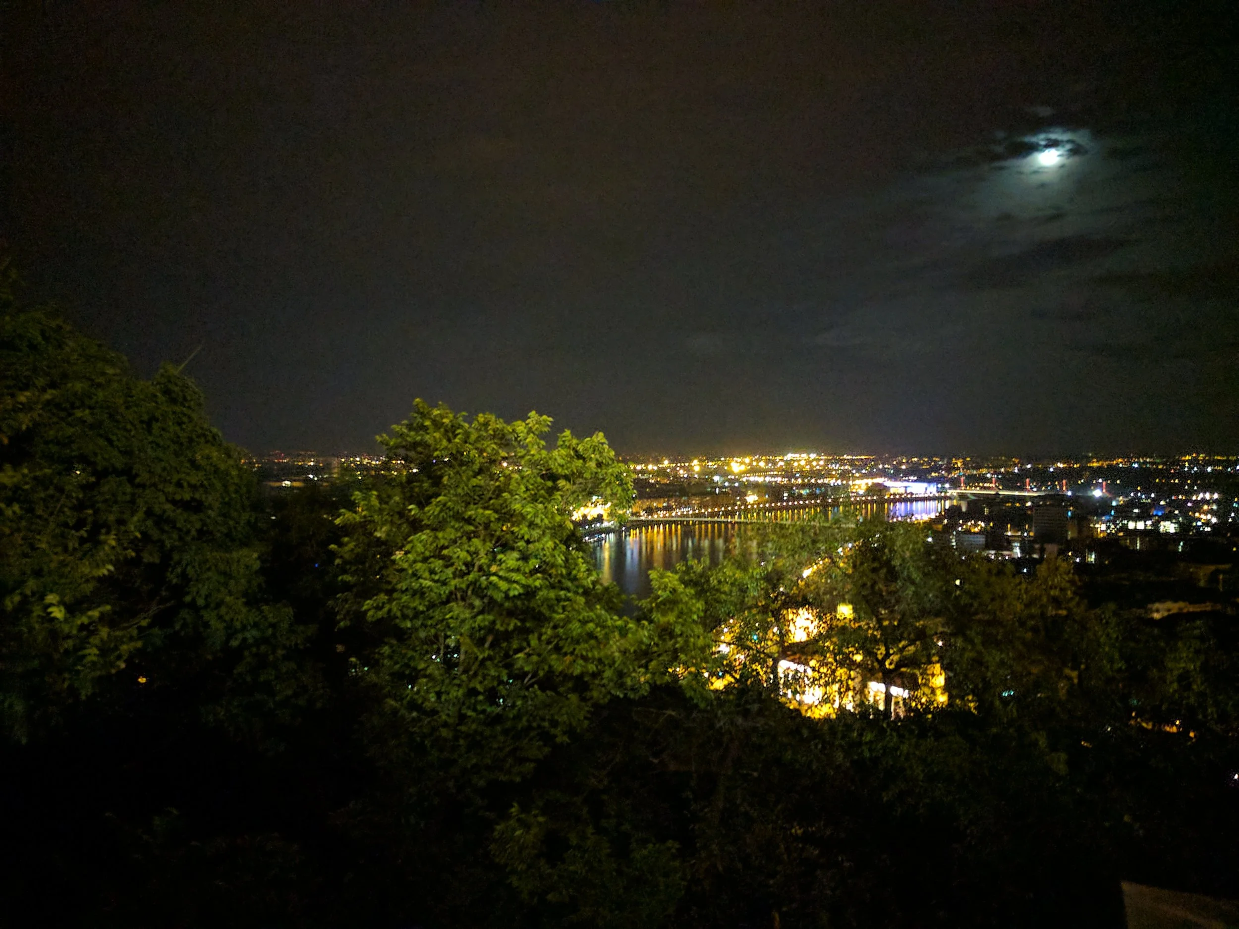 Looking over the water