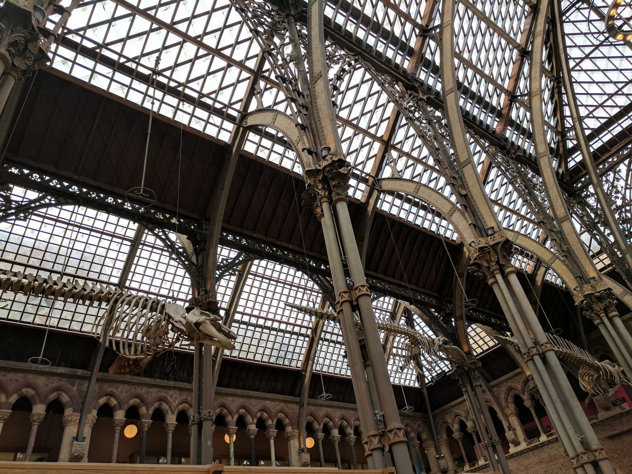 Ingredient list for a Magical Space 1 part metal framing A plethora of timber display cabinets 5 parts sandstone A good heaping of sunshine 3 dinosaurs 