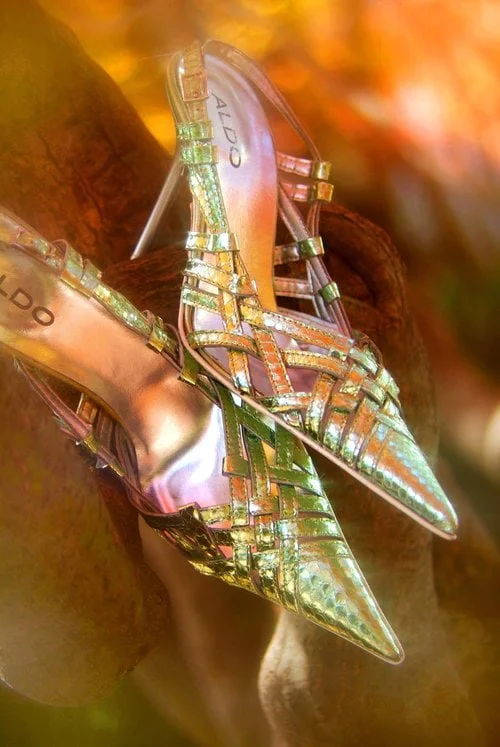 aldo-shoes.jpg