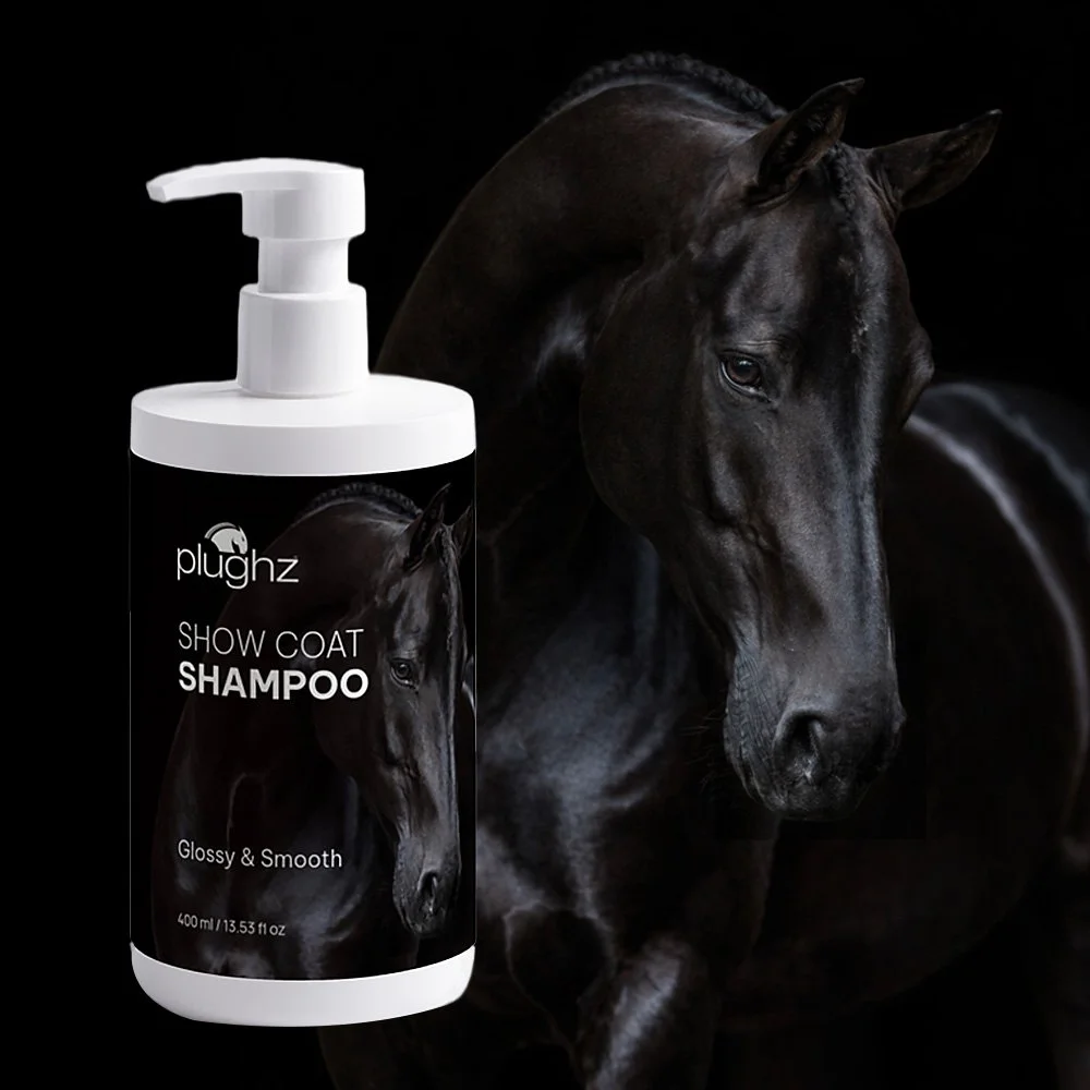 shampoowithhorse2.jpg