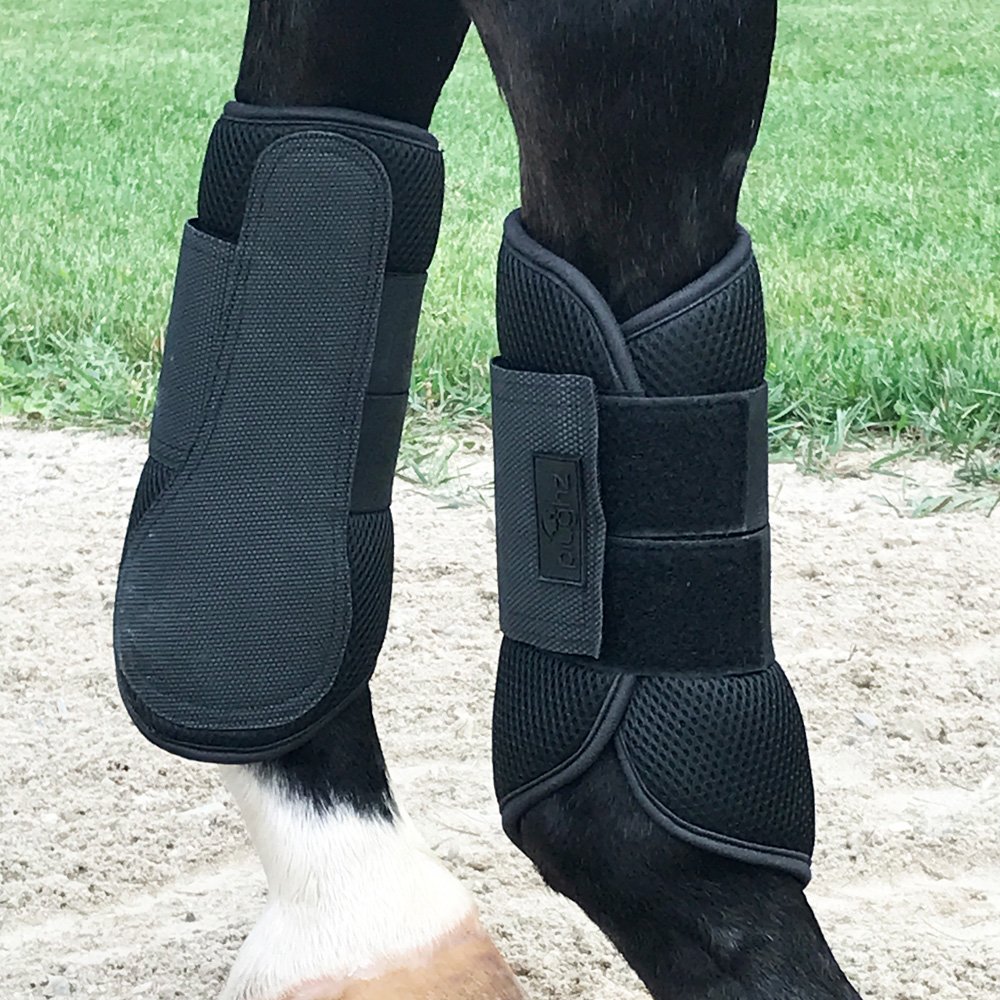 onhorse.jpg