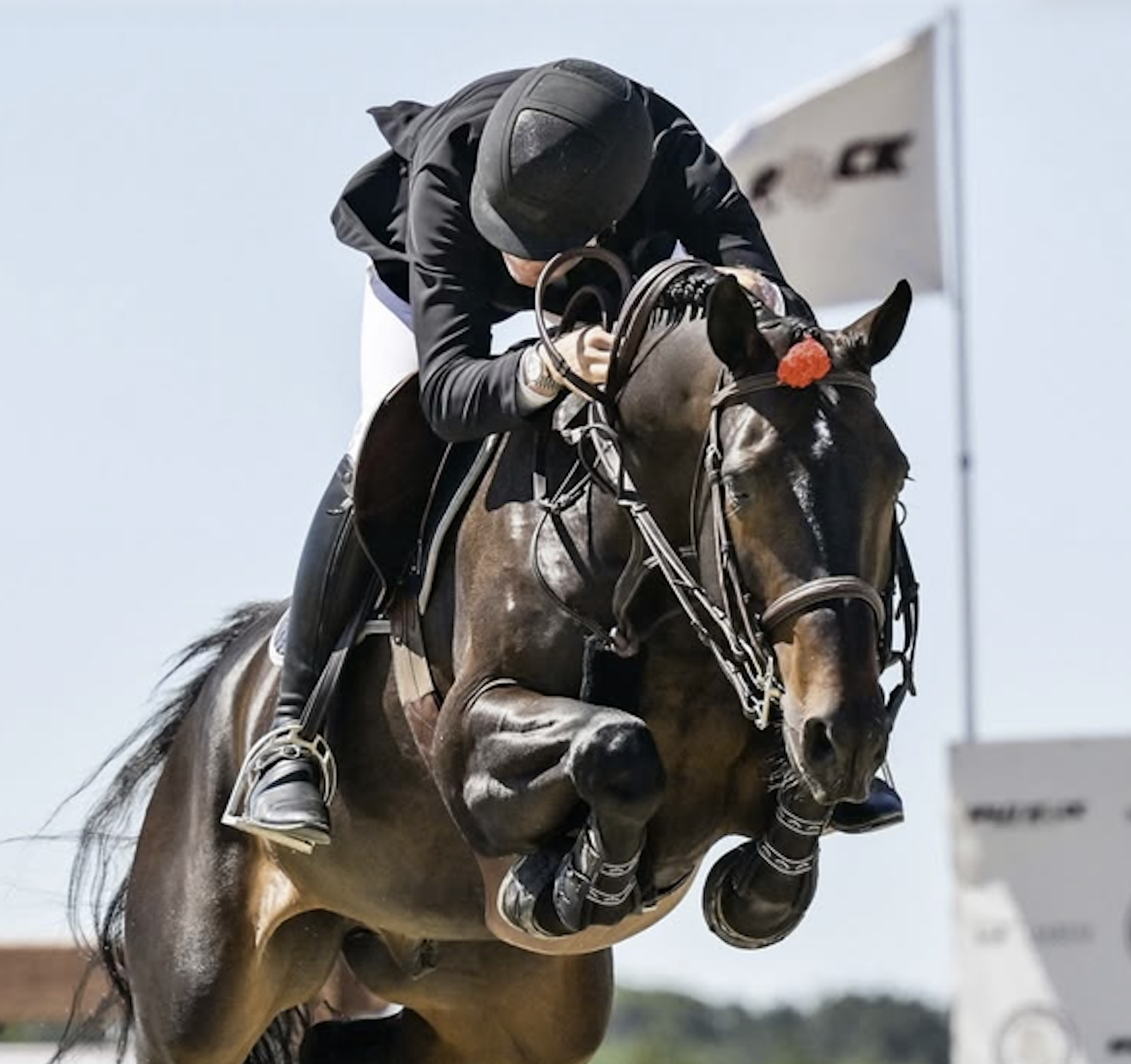 Plughz® HEAD-Z-UP Bridle and Tail Pom Pom