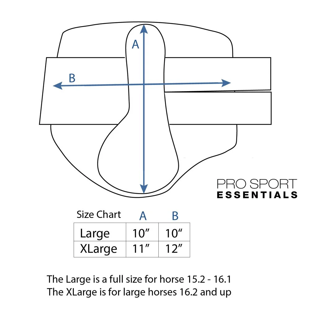 sizing.jpg