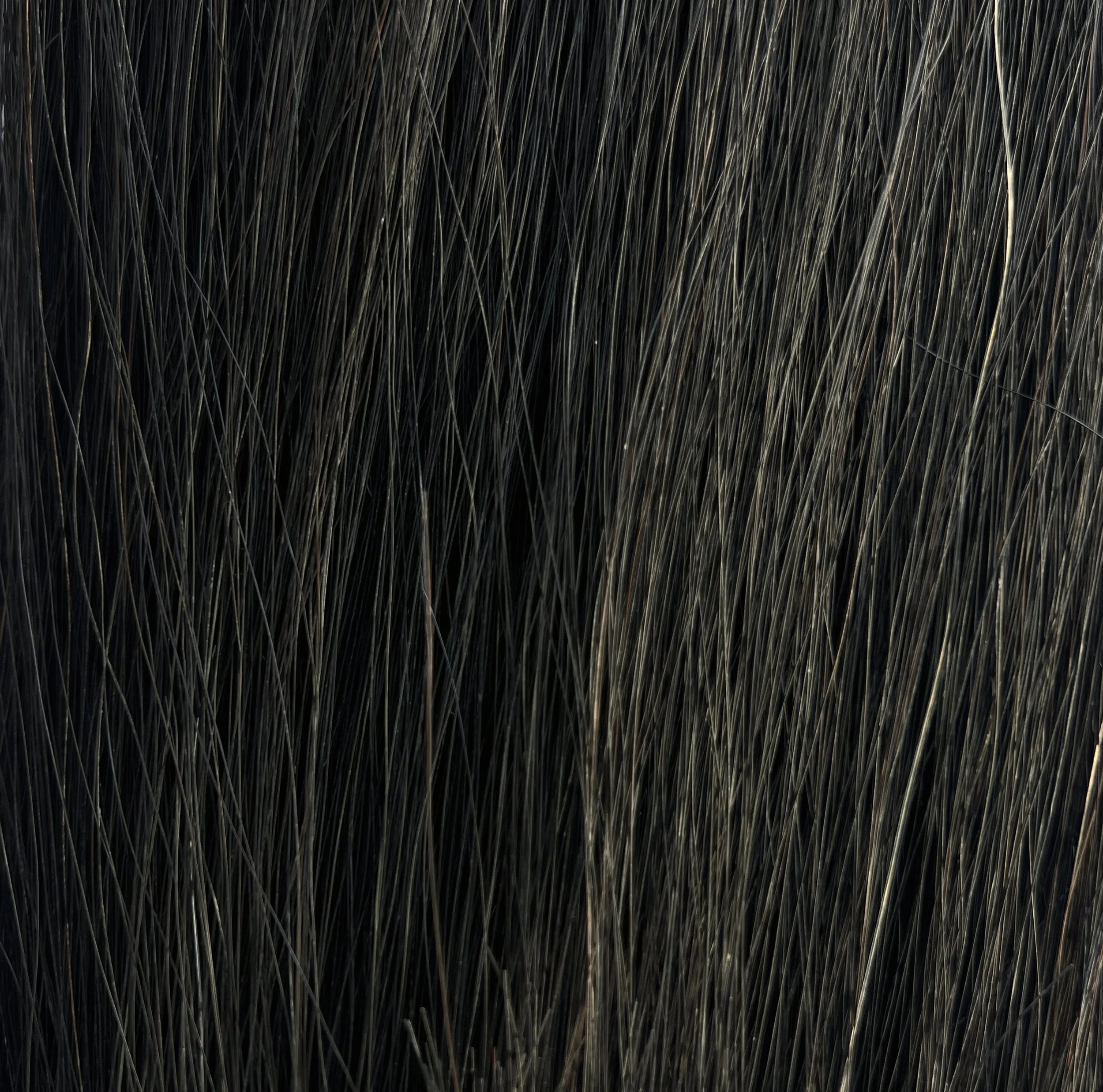 BlackDetail.jpg