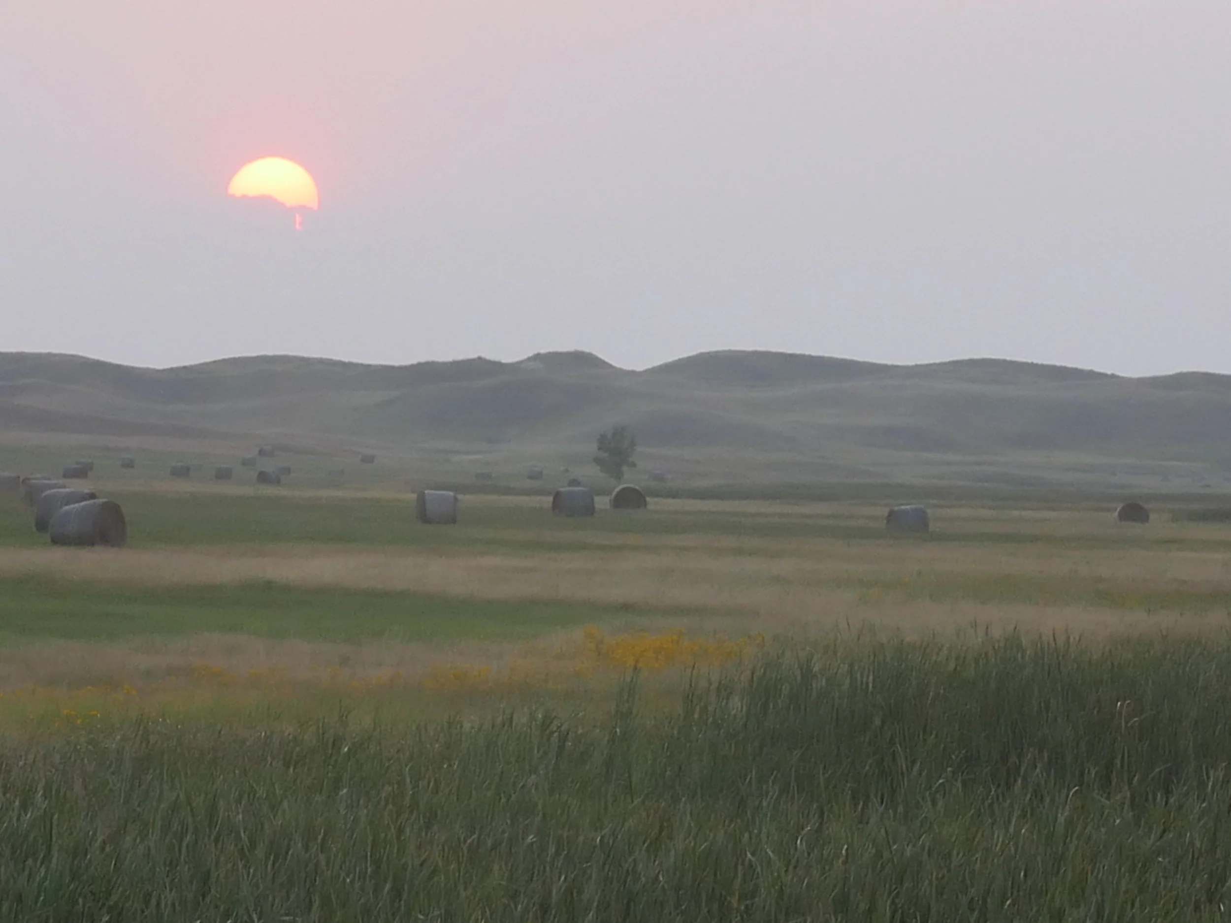 STRANGER IN NEBRASKA SANDHILLS