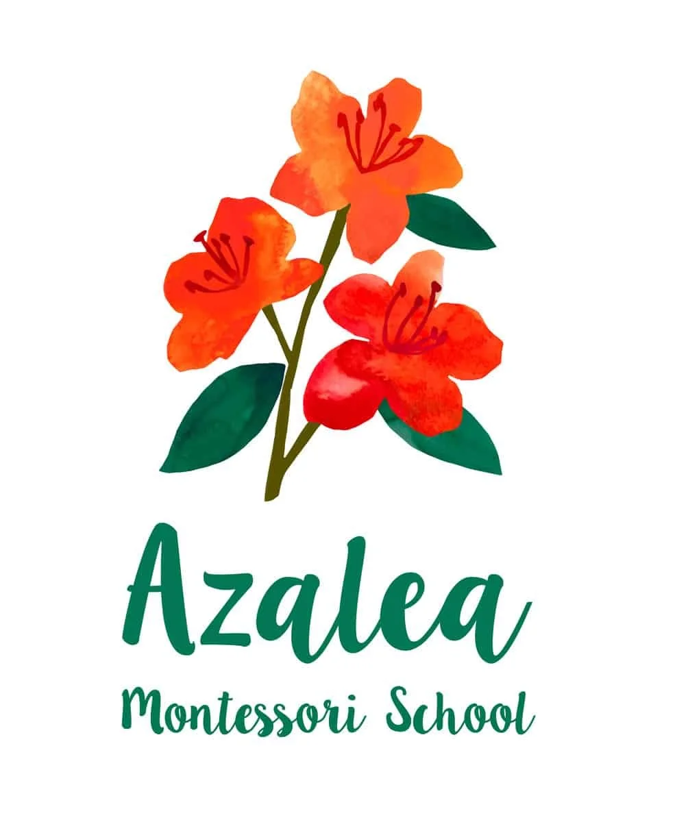 azalea_draftv2-01-01.jpg