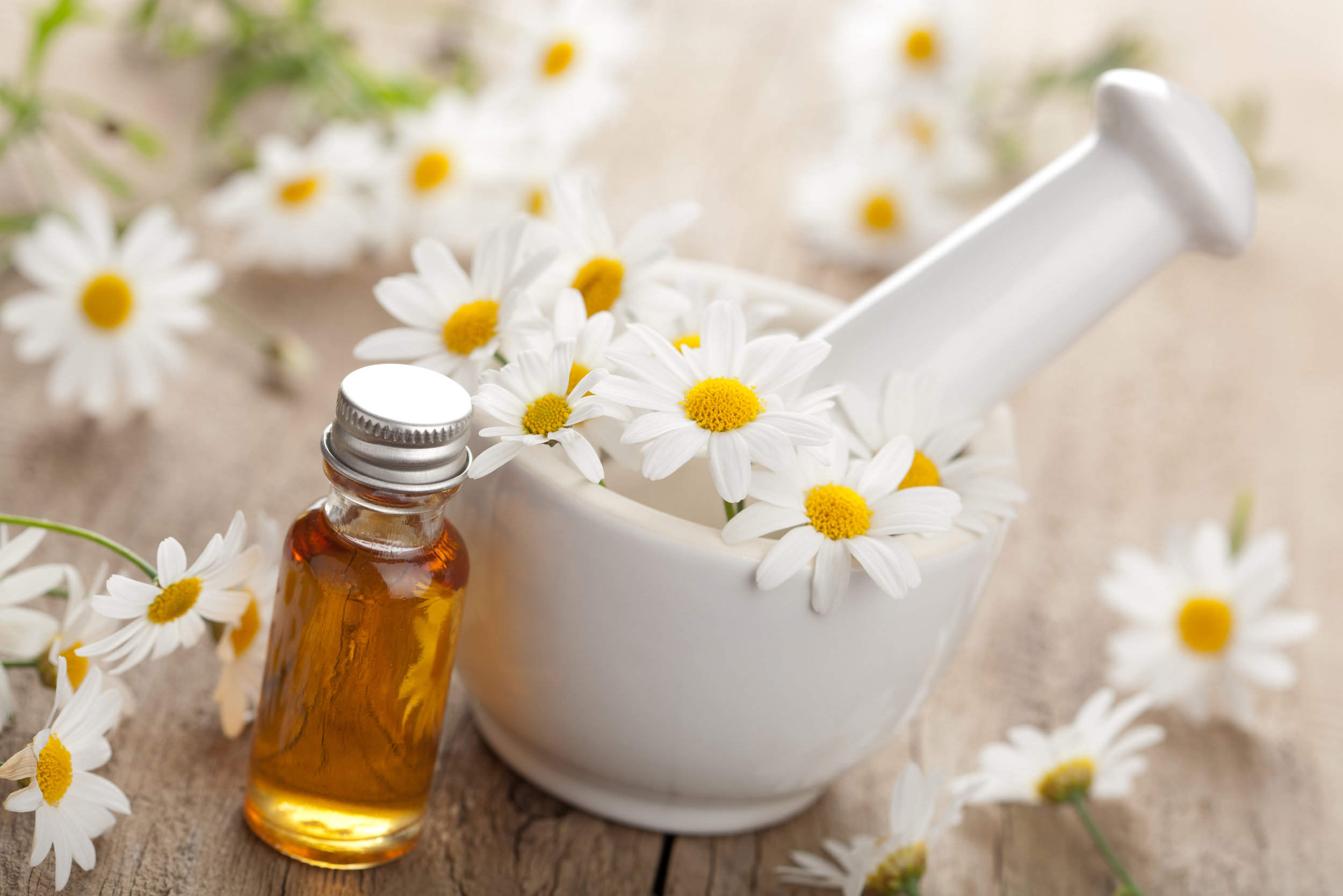 flowers in a bowl.jpg