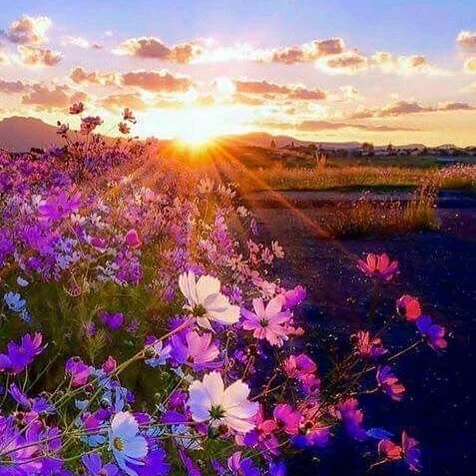 DAWN ALWAYS COMES🌅
When we are going through a particularly stressful challenging time in our lives, where everything seems stacked up against us, it is easy to fall into a negative mindset that our circumstances won't get better. We can lose sight 