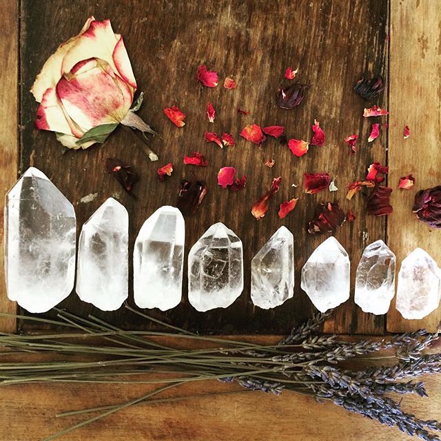 CRYSTAL PORTRAIT🌹
Clear Quartz is a must have crystal for a Crystal Therapist. It is a powerful all round healer, that amplifies the qualities of other crystals. These are just a few in my collection. As well as using them for energy healing, I also