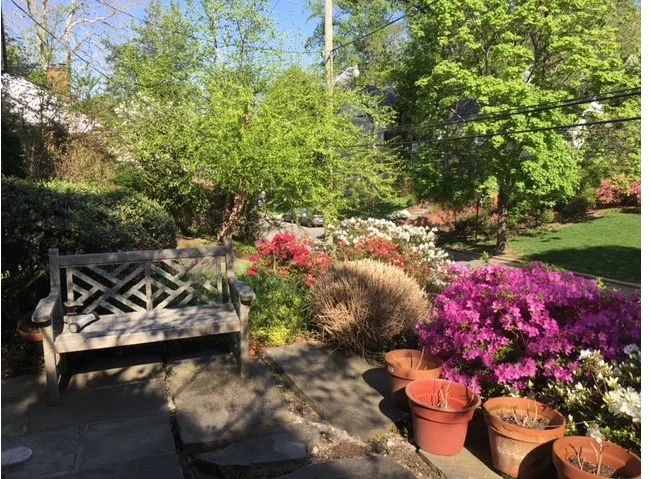 front picture blooming copy.jpg