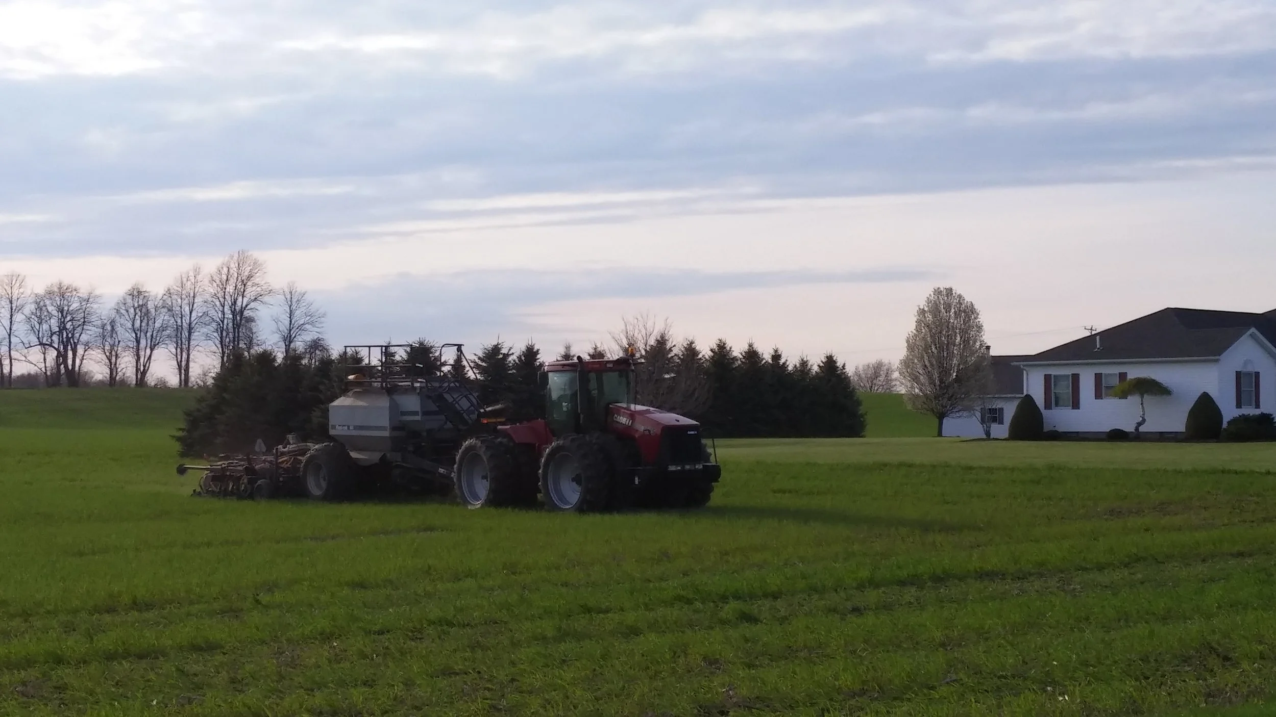 Planting peas into rye cover crop 2016