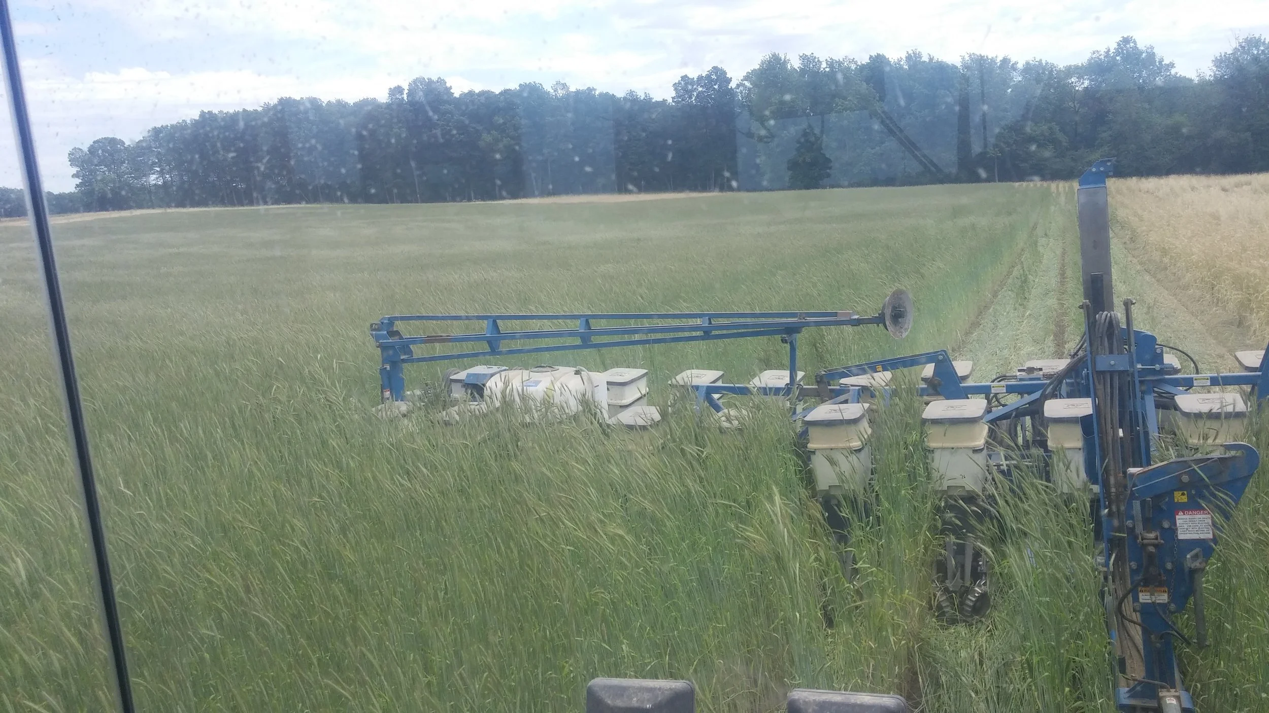 Planting soybeans into rye cover crop 2017