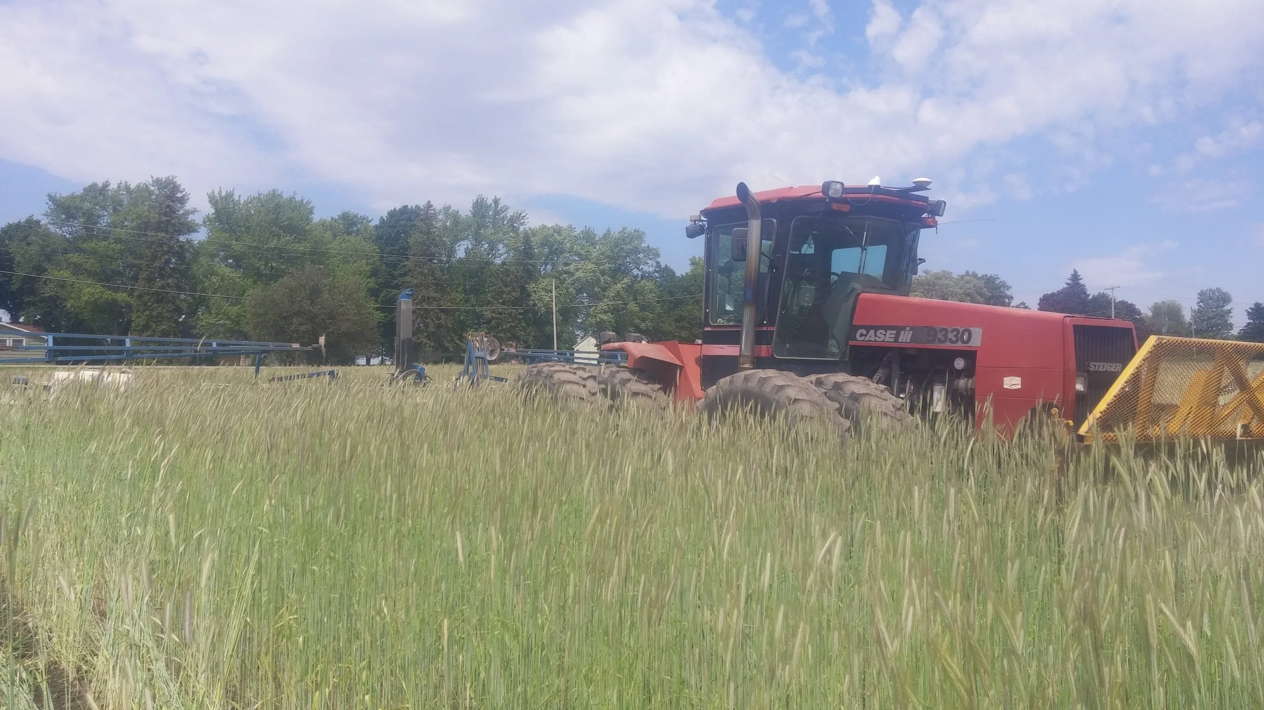 Planting soybeans into rye cover crop 2017