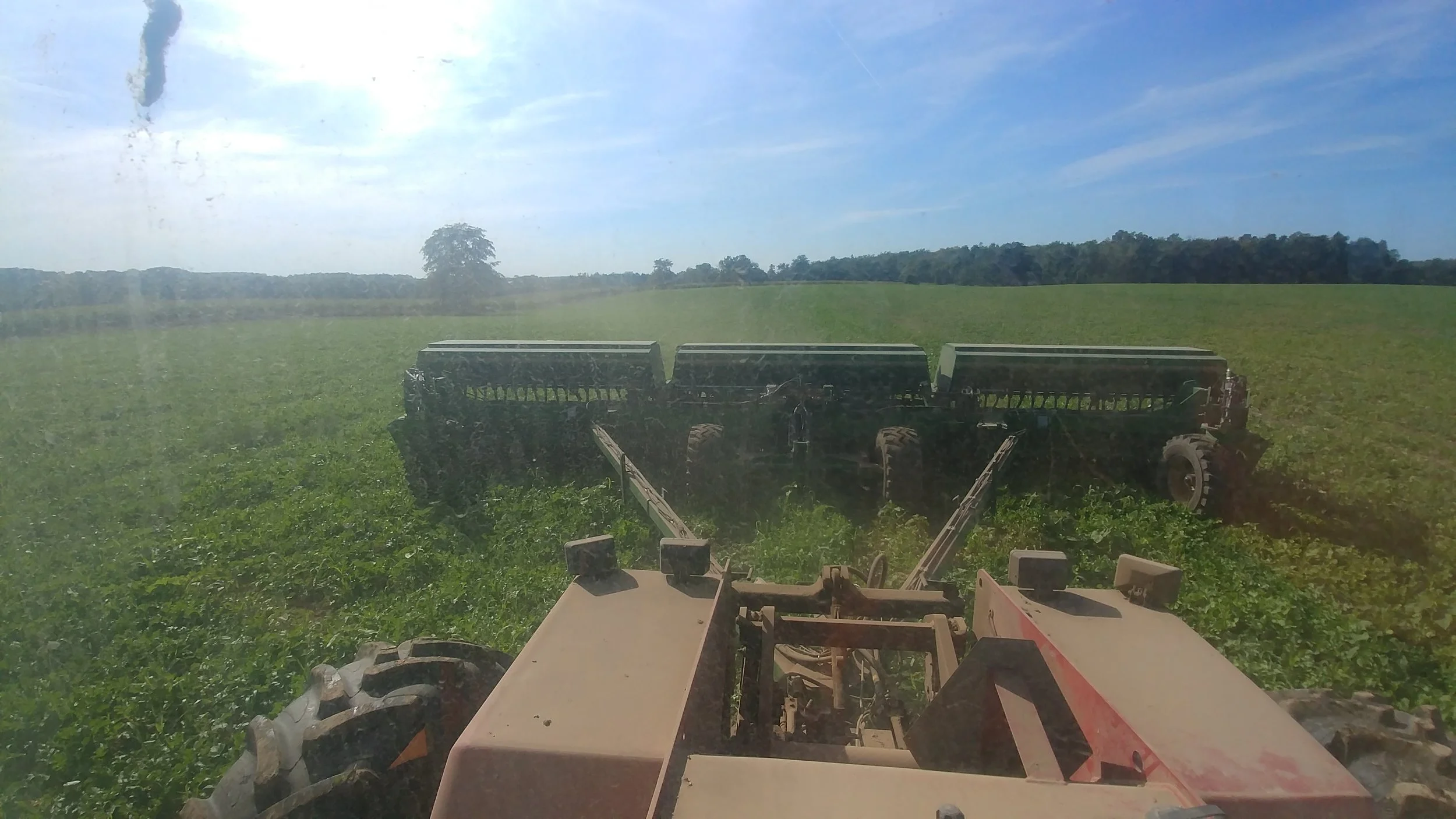 Planting wheat into cover crop mix after peas 2017