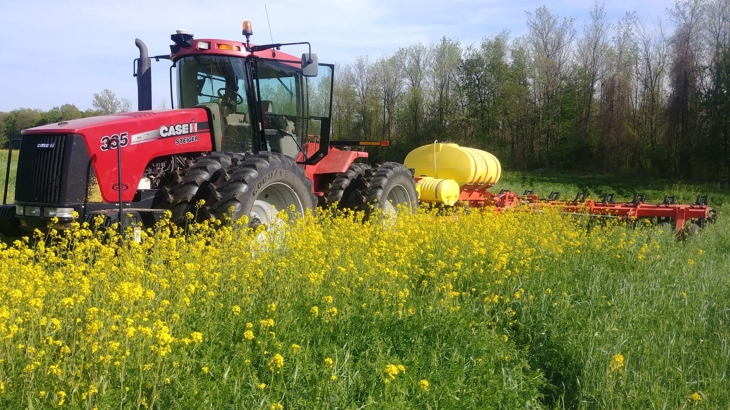 the mix following small grains got some serious growth this past year, spring 2018