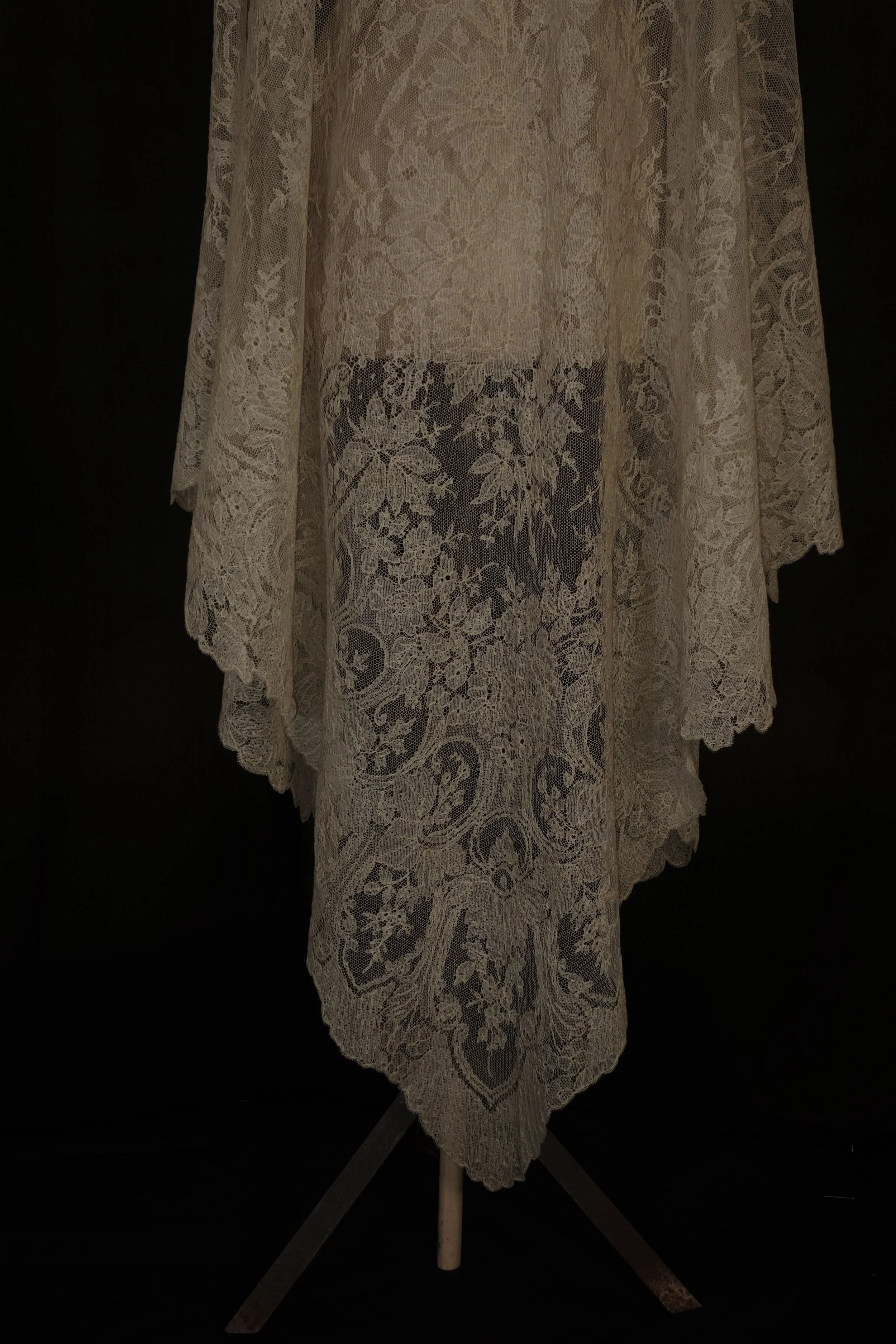 DSC03942editedveil.jpg