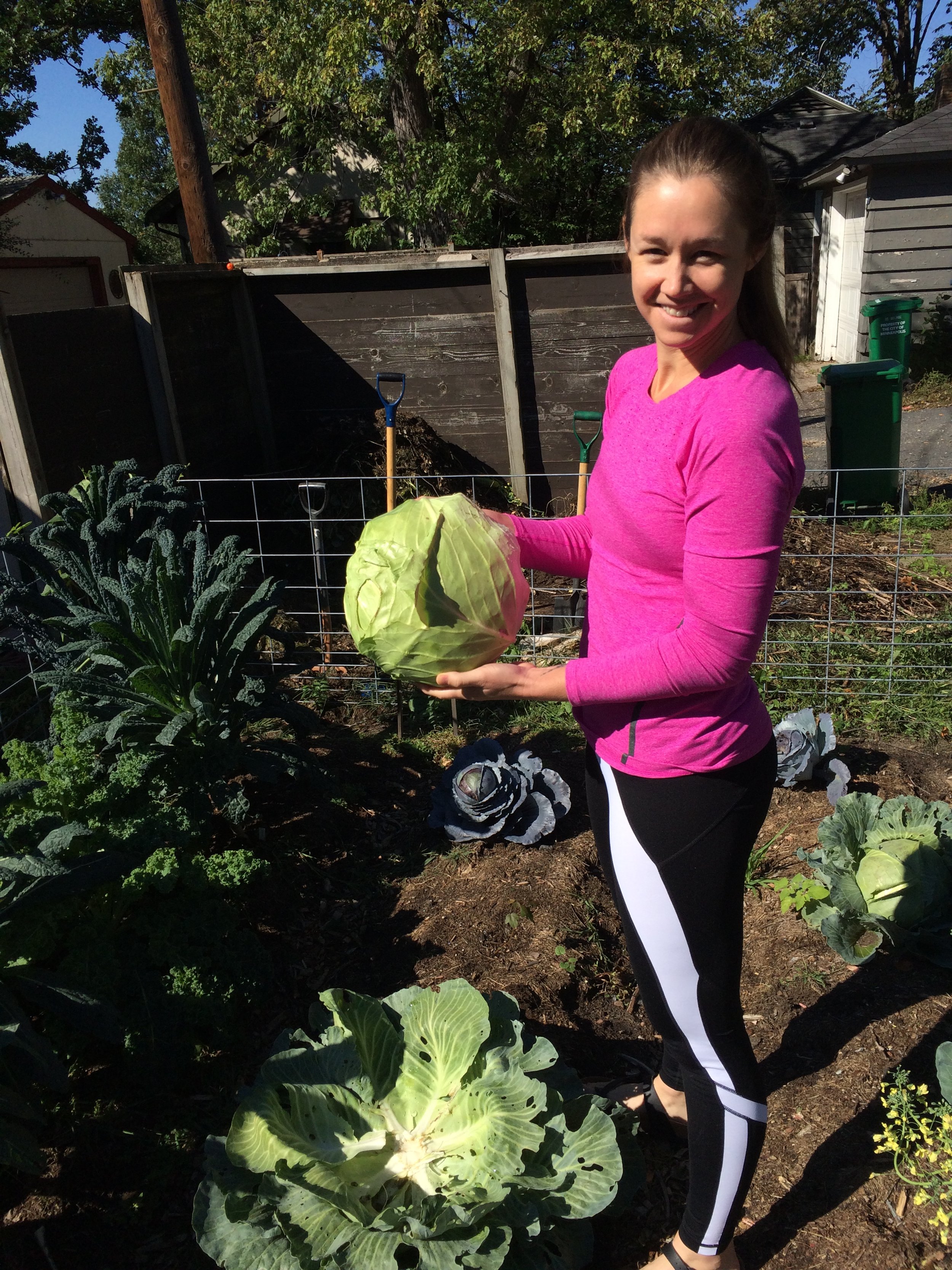 cabbage.jpeg