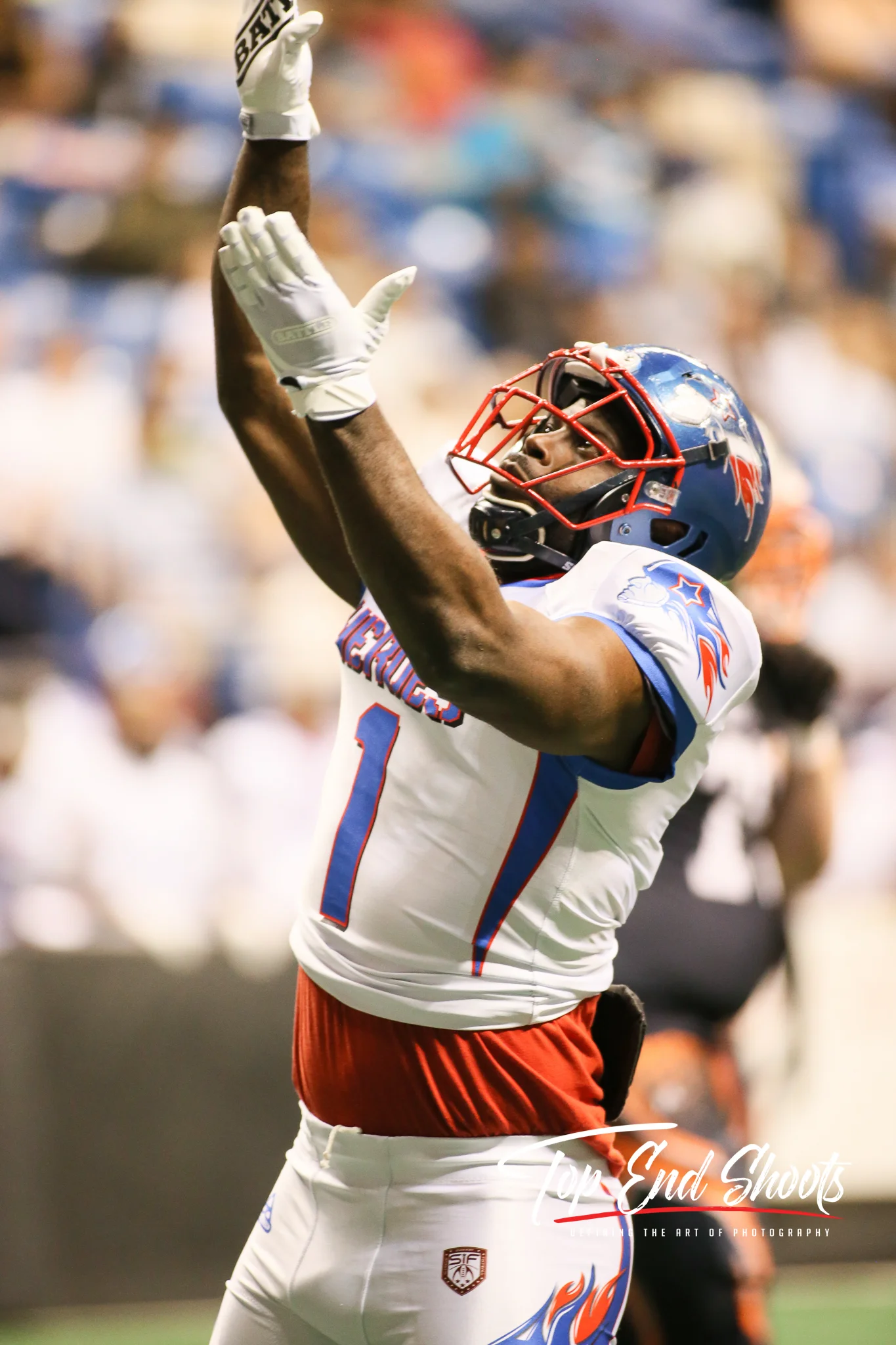 Web 20180331-CI1P8937.jpg