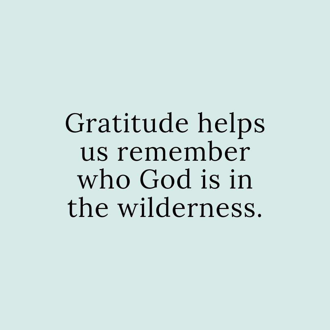 Gratitude helps us remember who God is in the wilderness.

What can you thank God for?
Who can you share that with?

**Reminding ourselves what God has done reminds us of who He is.

#IntoTheWilderness #Gratitude #Thankful