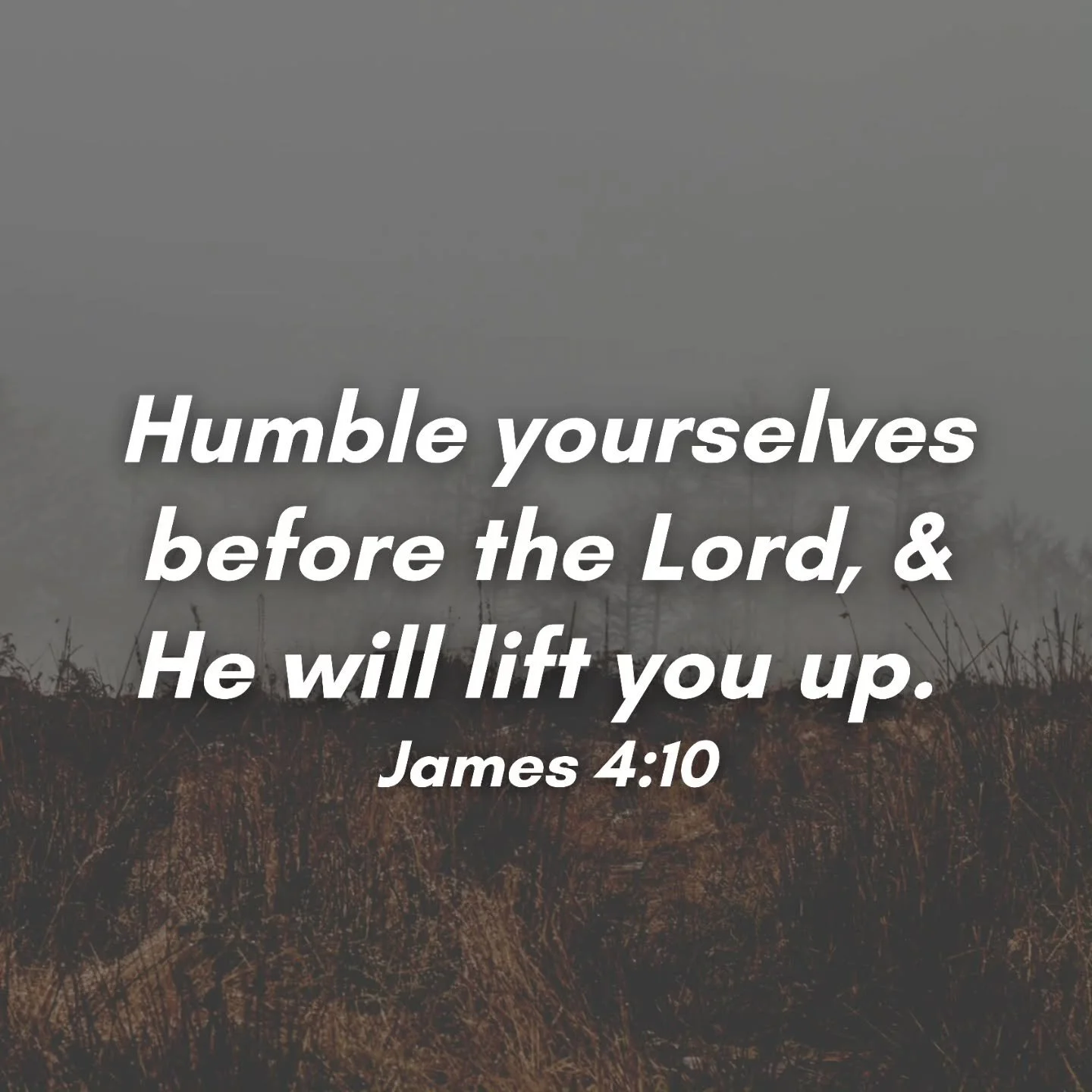 Humble yourselves before the Lord, and He will lift you up. James 4:10
#Humble #Humility