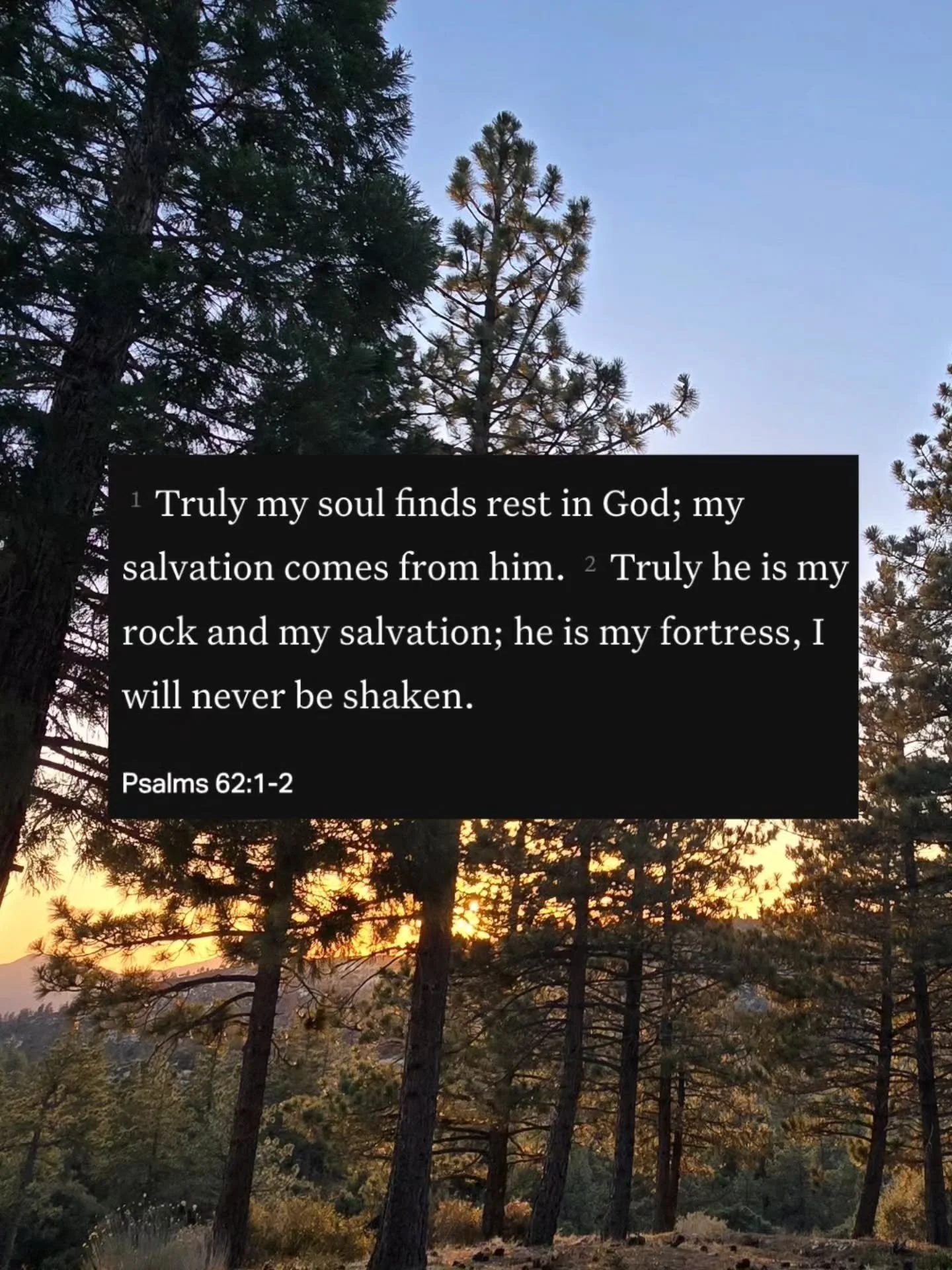 Rest in God.

Find time to put your phone away.
Read Psalm 62.
Listen to God
Rest in Him.

#Rest #Psalm #God