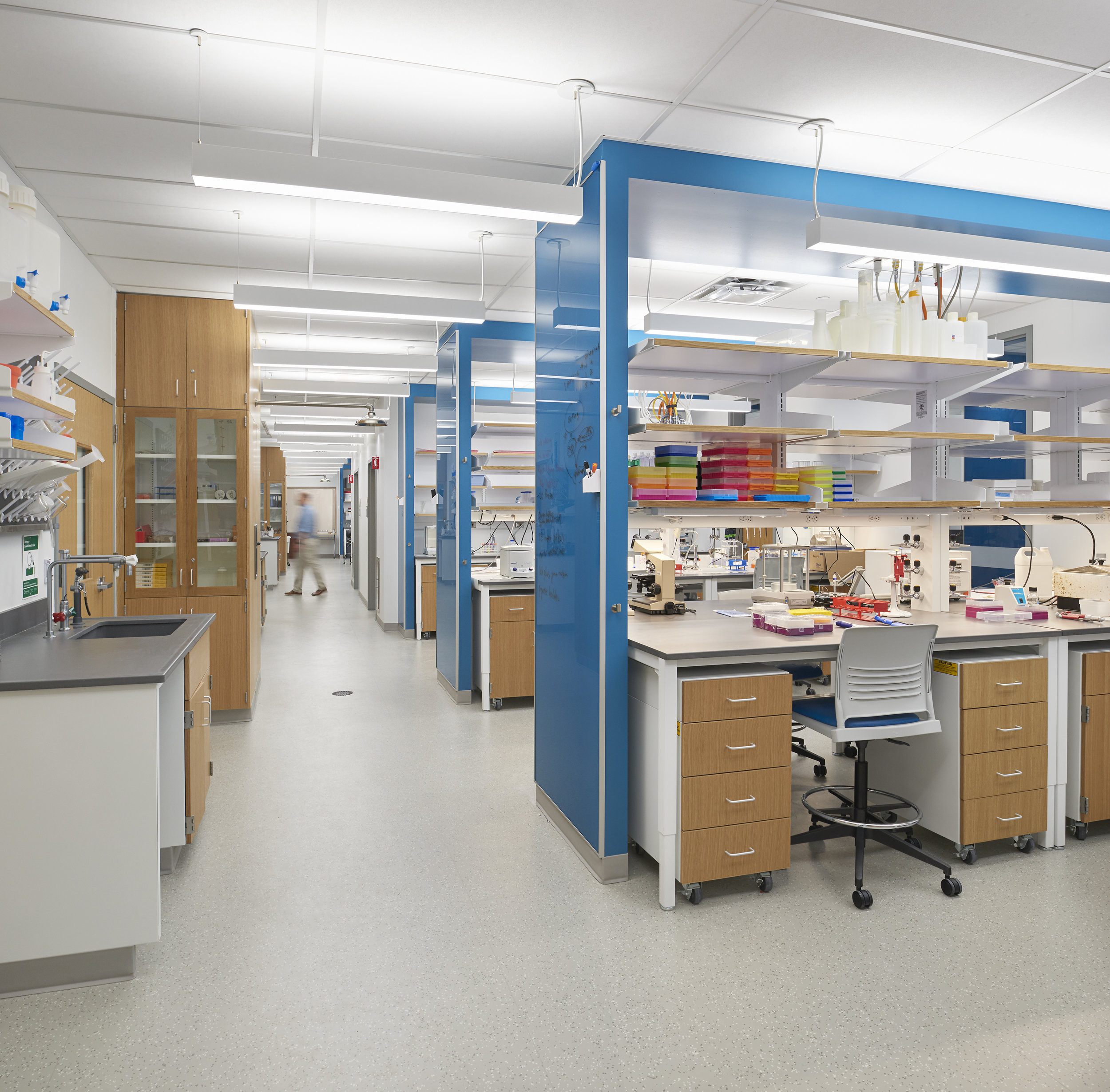 COOKE &amp; HOCHSTETTER HALL LAB RENOVATIONS&lt;strong&gt;SUCF / University at Buffalo&lt;/strong&gt;