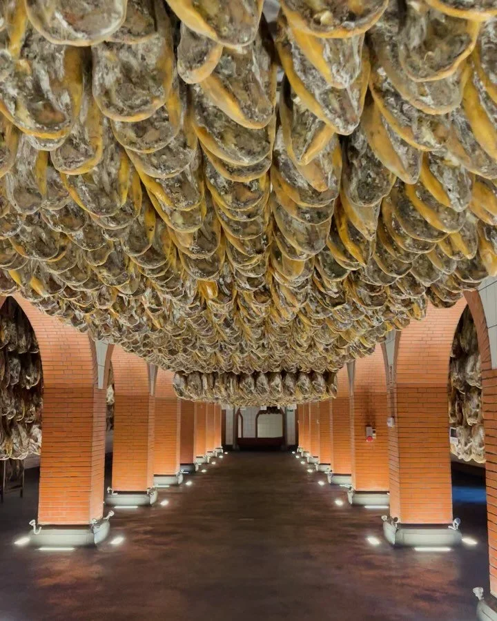 Visitar @cincojotas es imprescindible para entender de la mejor manera posible el largo y genuino proceso que se necesita para conseguir un producto extraordinario, apreciado en todo el mundo, como es el jam&oacute;n ib&eacute;rico de bellota.

Cuand