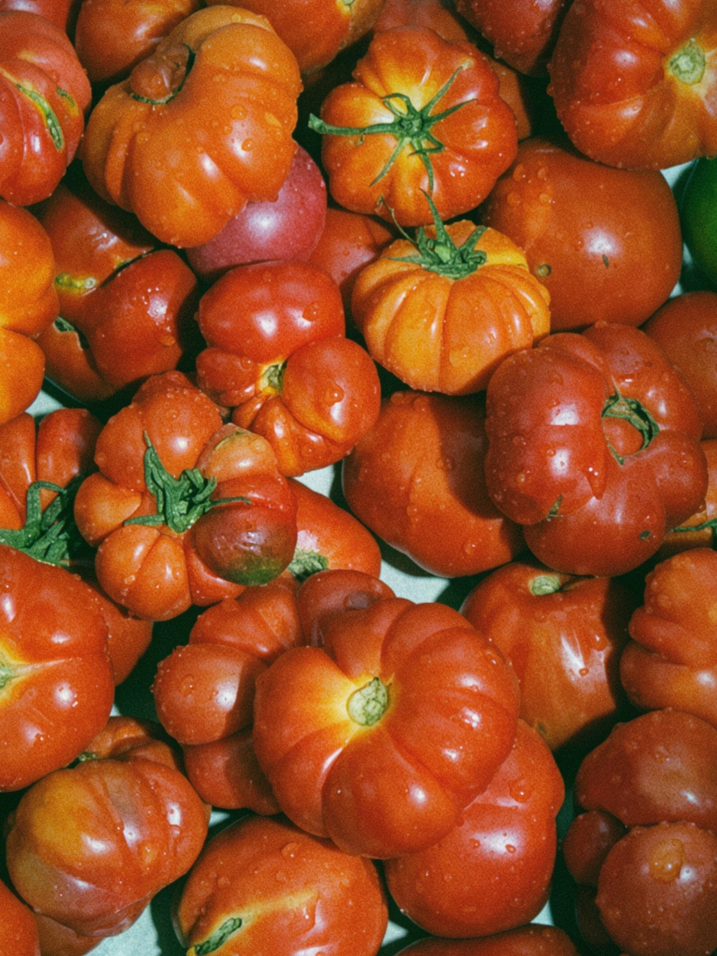 Tomates antiguos para ali&ntilde;ar&hellip; y para hacer salmorejo