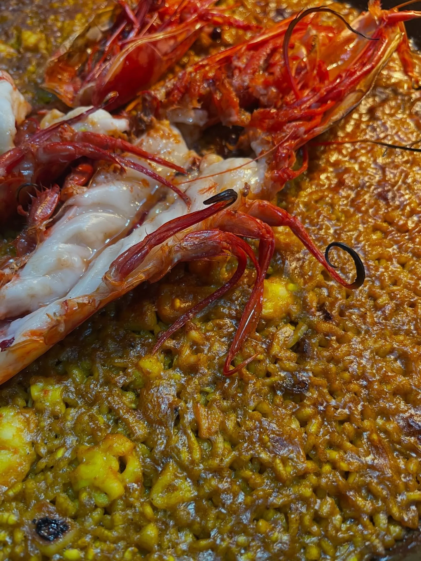 Los carabineros de La Santa est&aacute;n ahora de temporada. En La hoya del camello los servimos sobre un arroz seco que coronamos con estas piezas llegadas desde Lanzarote 🦐🥘👌🏽

#cocinadeproducto