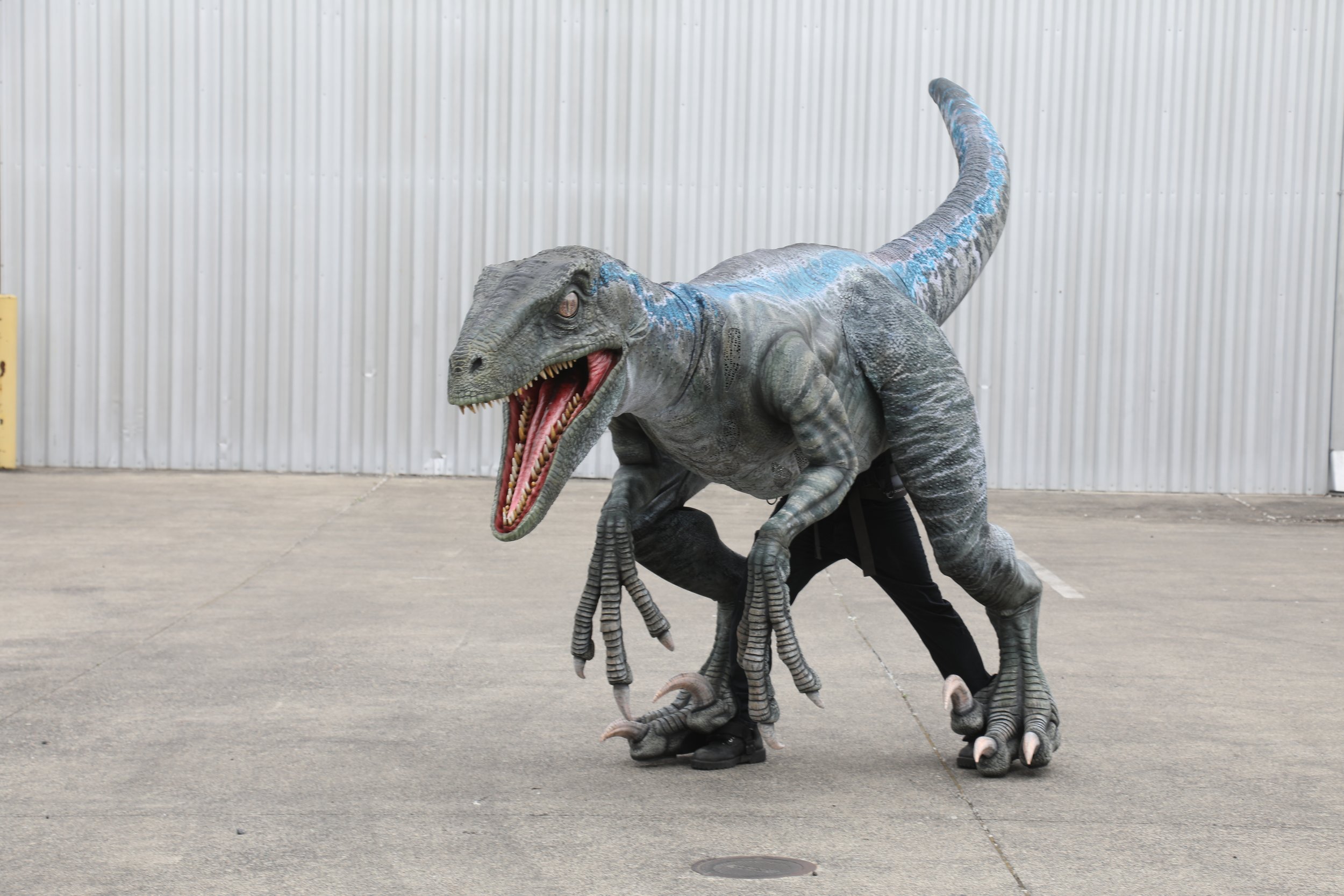 MCP_Website_Gallery_Themed_Photo_Universal_Raptor_01.jpeg