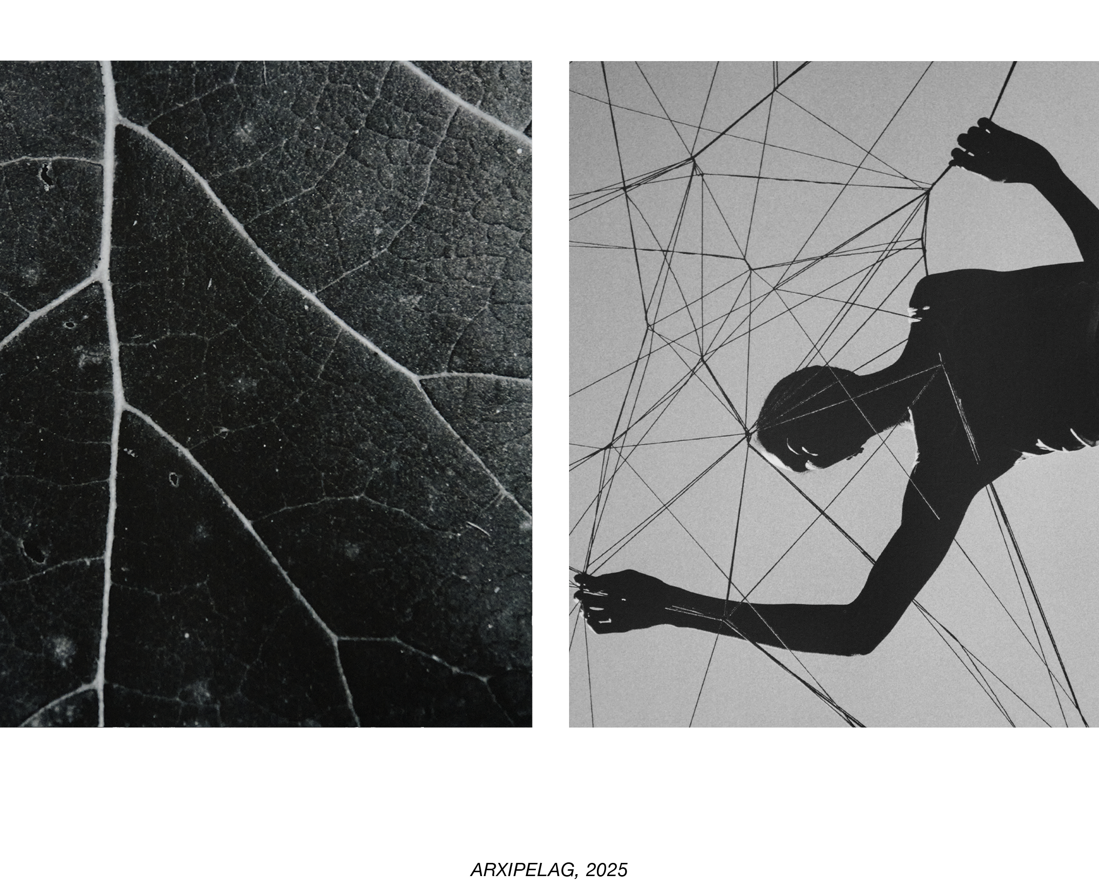 arxipelag-II.png