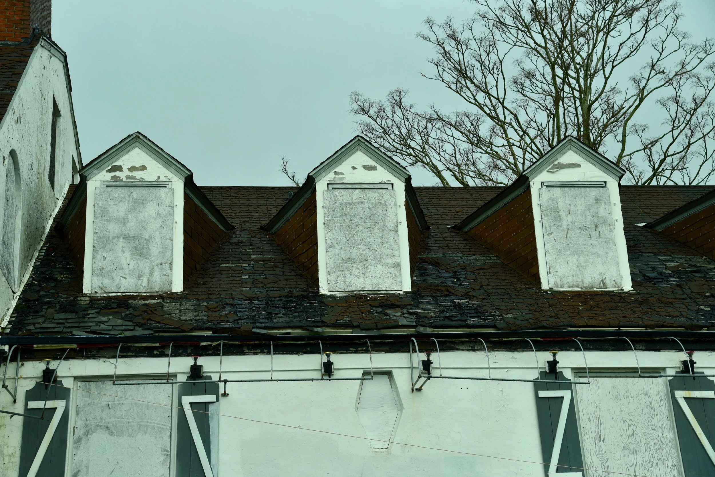 DSC_0712.jpg