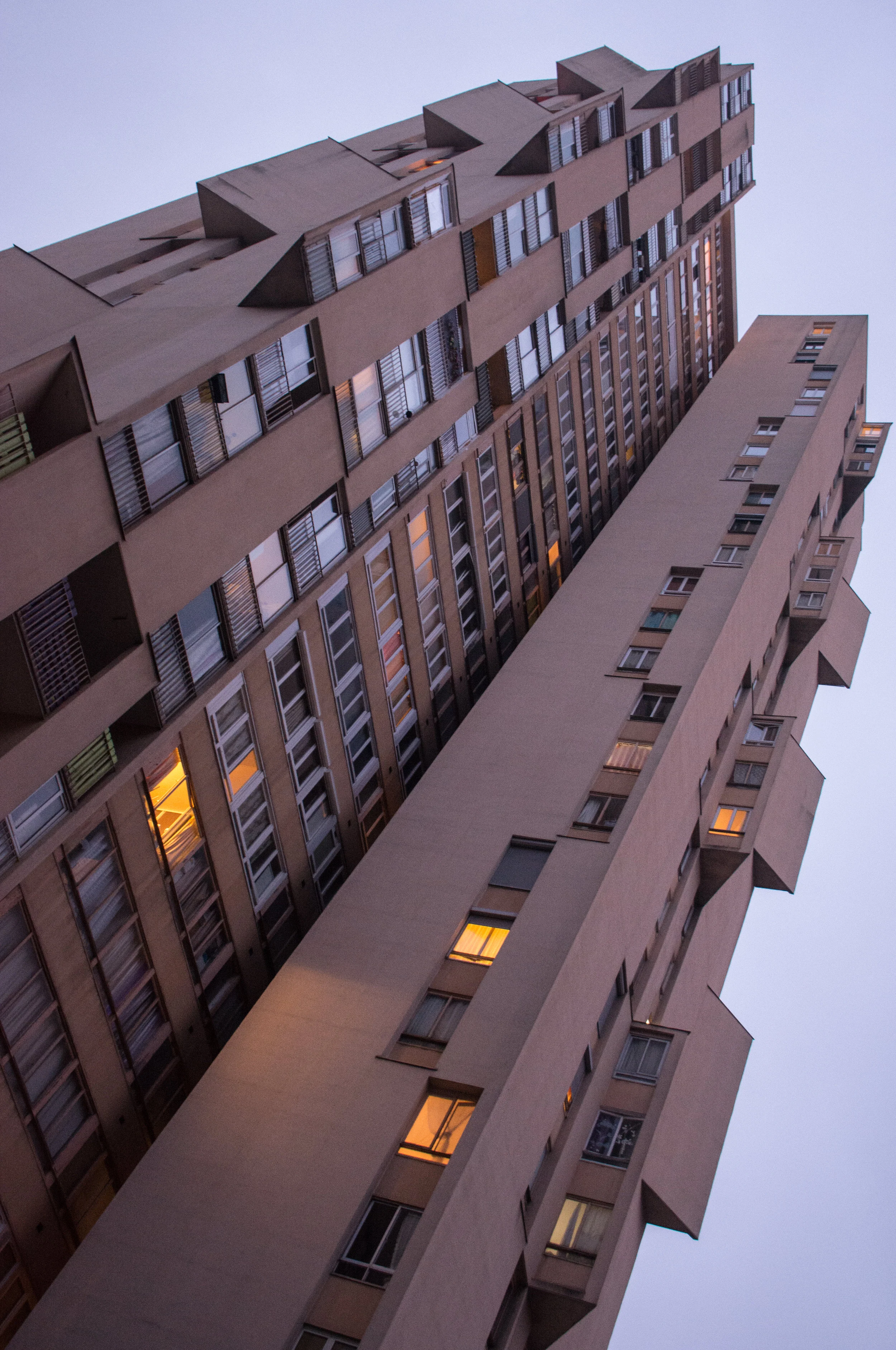 DSC_0556-1.jpg