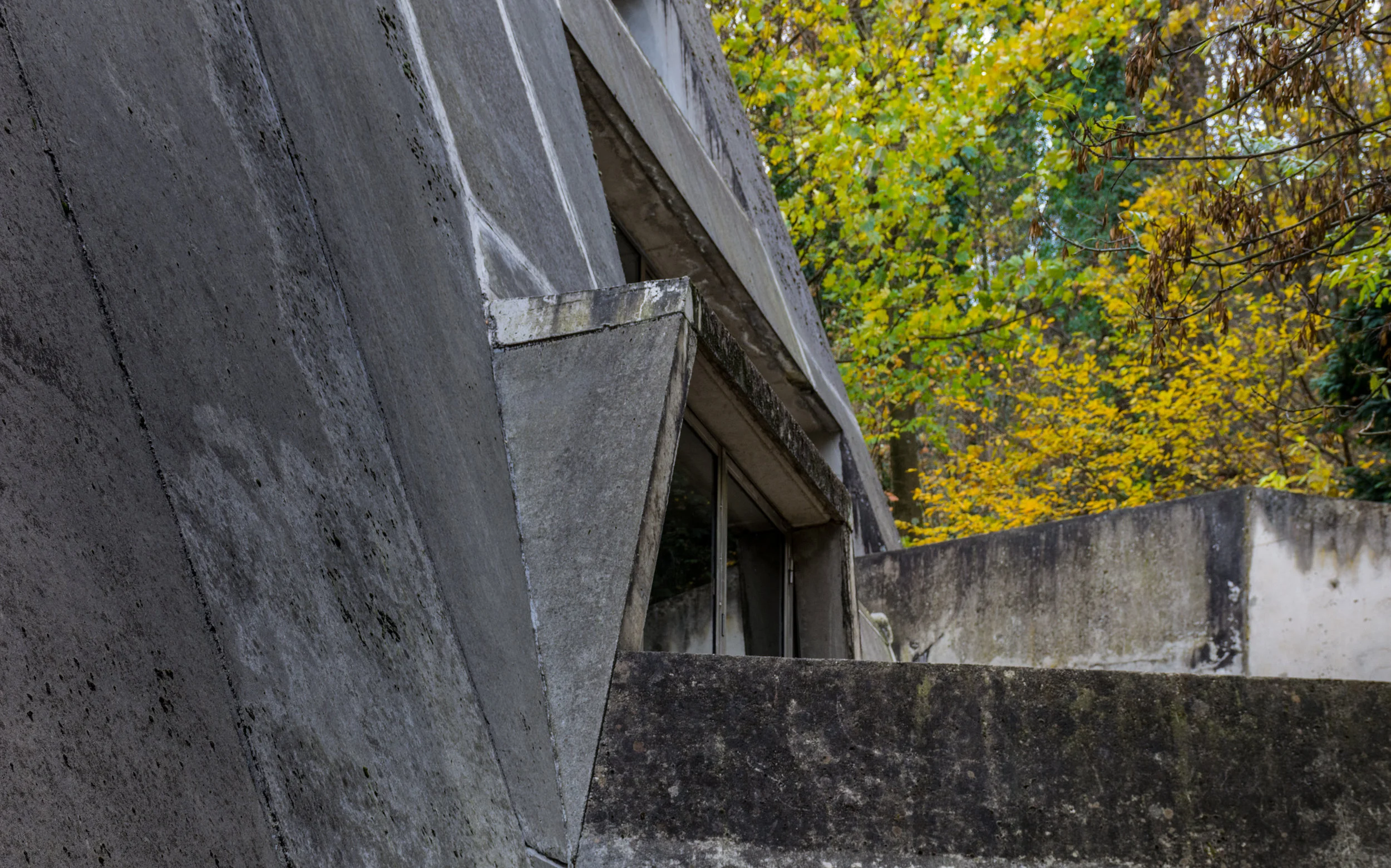DSC_0387-1.jpg
