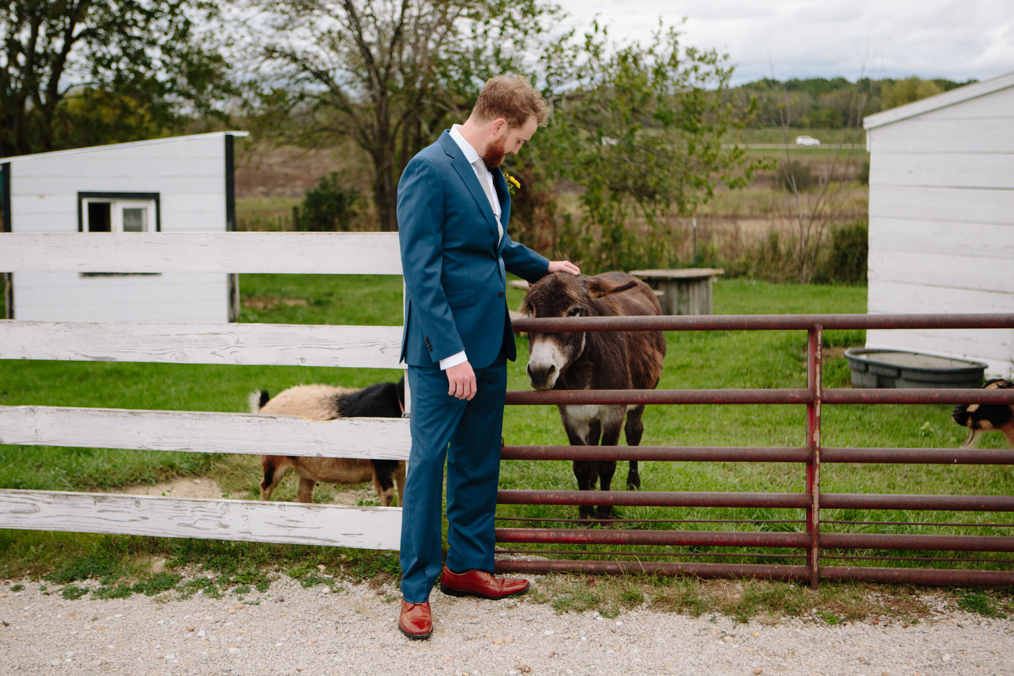 heritage-prairie-animals-with-groom.jpg