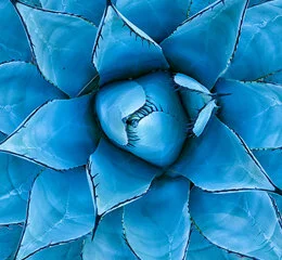 Natural Wonders