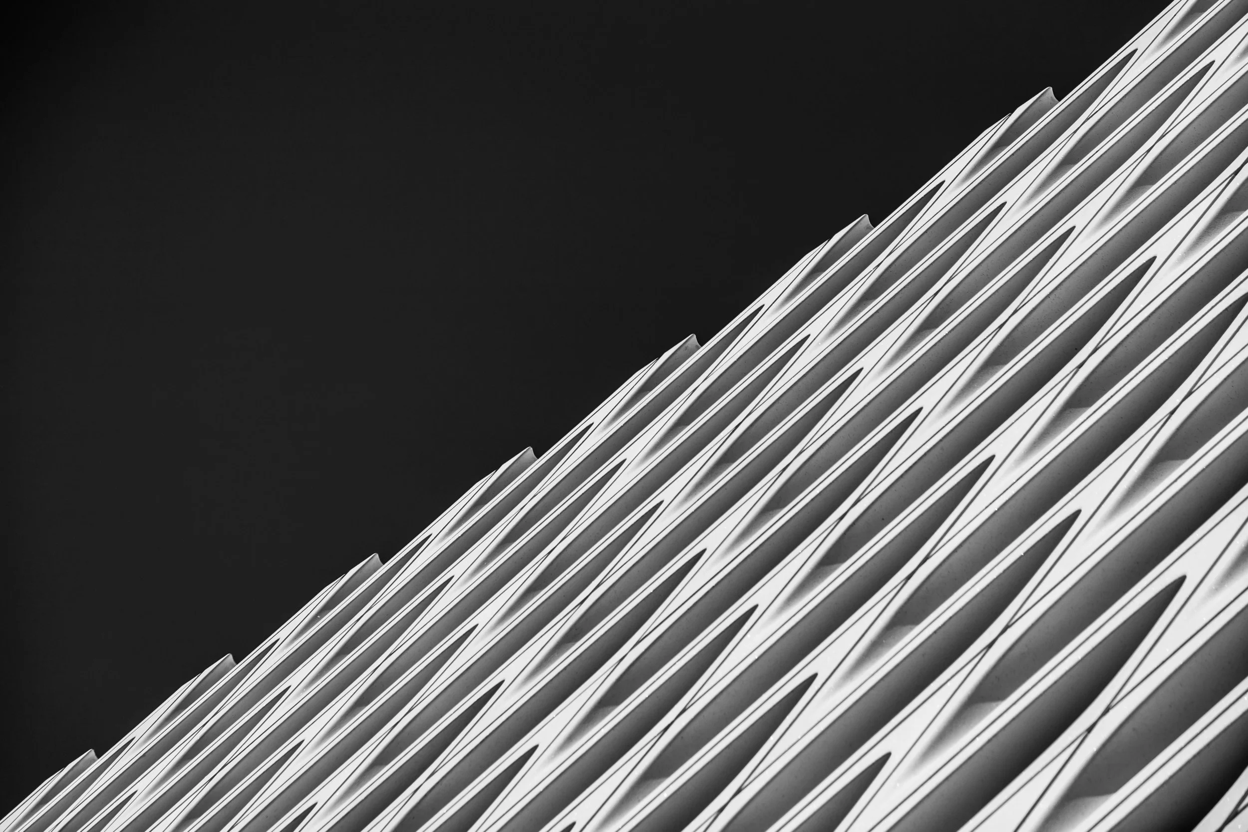 broad-2.jpg